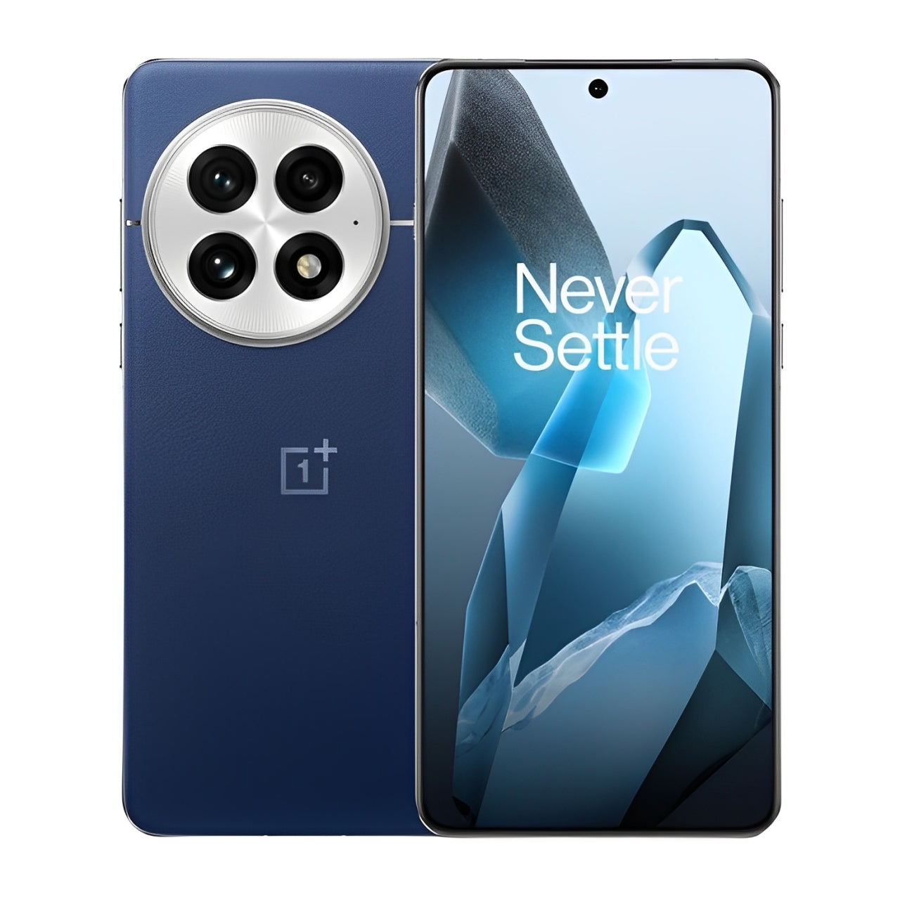 OnePlus 13
